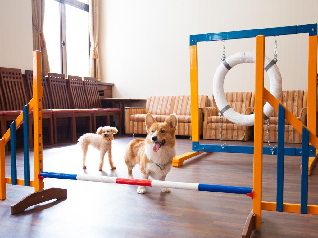 Izumigo Takayama Dog Paradise Hotel Exterior photo