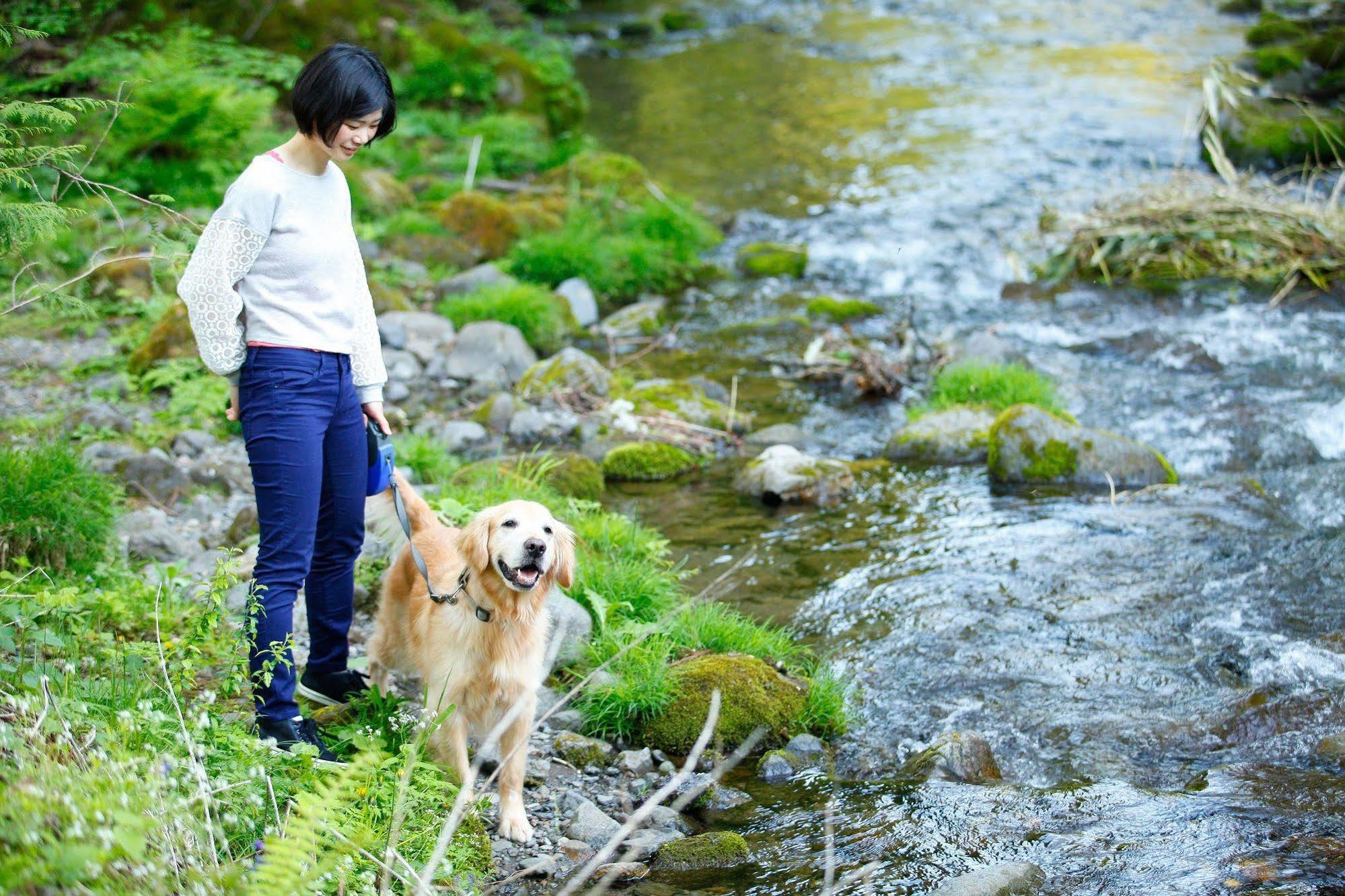 Izumigo Takayama Dog Paradise Hotel Exterior photo