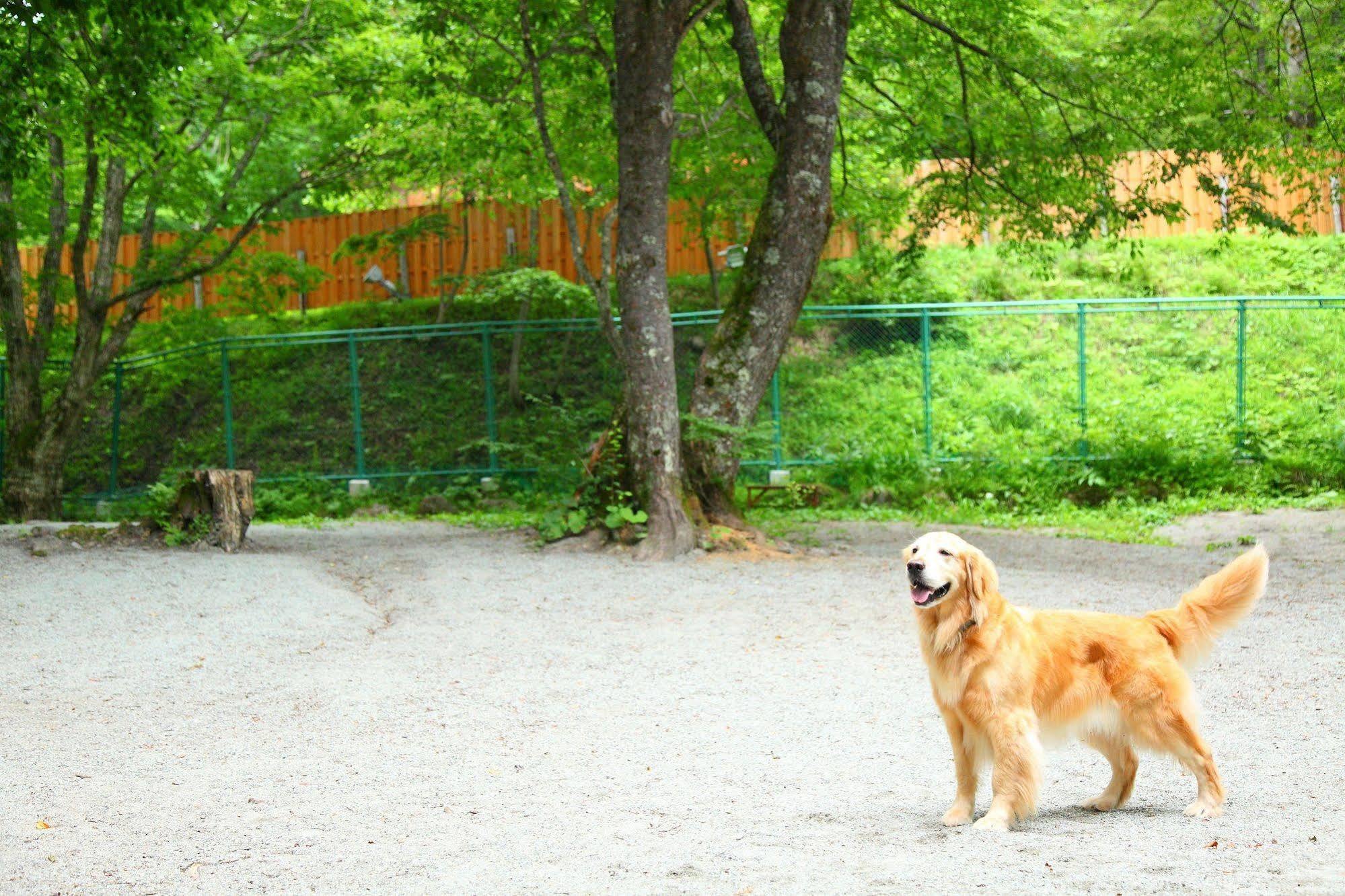 Izumigo Takayama Dog Paradise Hotel Exterior photo